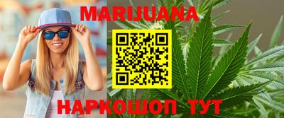 сатива Можга