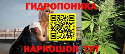 сатива Можга