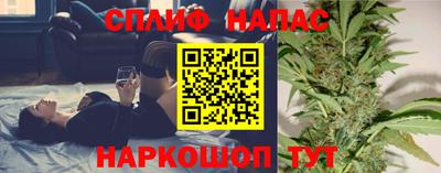 сатива Можга