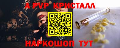 spice Моздок