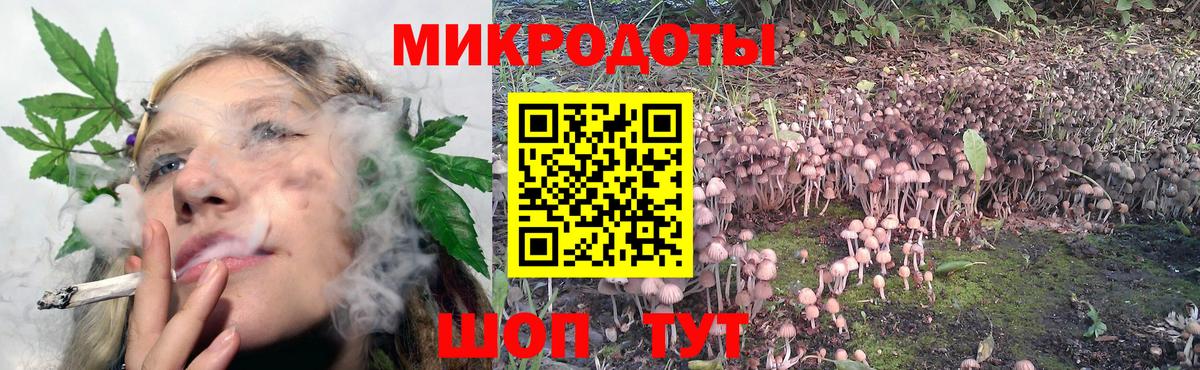 Галлюциногенные грибы GOLDEN TEACHER  Вход с VPN  Щёлково 